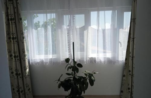 Drobeta-Turnu Severin Apartamento | Apartament Alyn