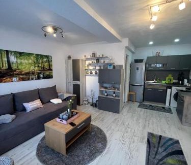 Sfantu Gheorghe Apartamento | Apartament Acasa Sf.Gheorghe
