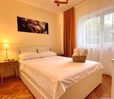 Tirgu Jiu Apartamento | Apartament Aerodrom Barza