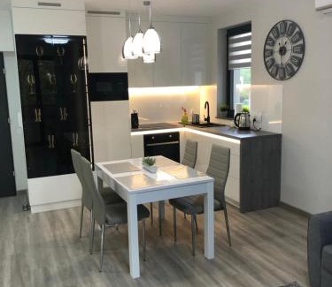 West Pomeranian Voivodeship Apartamento | Apartament Agnes Szczecin Pomorzany