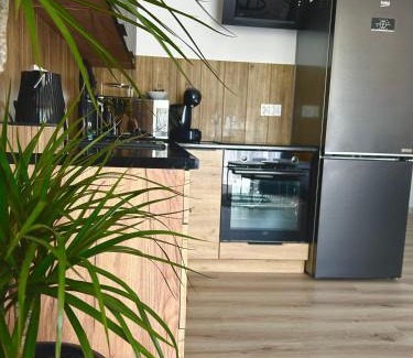 Goleniow Apartamento | Apartament Akacjowa
