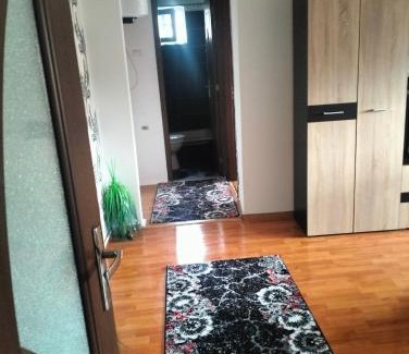 Orsova Apartamento | Apartament Alexandra