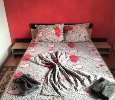 Orsova Apartamento | Apartament Alexandra