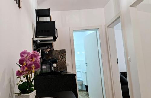 Alba Iulia Apartamento | APARTAMENT ANTIK No6 ALBA IULIA