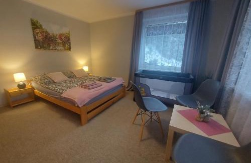 Wisla Apartamento | Apartament ANWAN