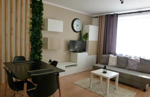 Krynica-Zdroj Apartamento | Apartament BB Czarny potok
