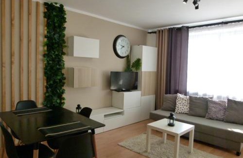 Krynica-Zdroj Apartamento | Apartament BB Czarny potok