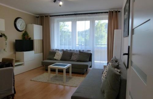 Krynica-Zdroj Apartamento | Apartament BB Czarny potok