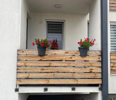 Tirgu Mures Apartamento | Apartament Bella
