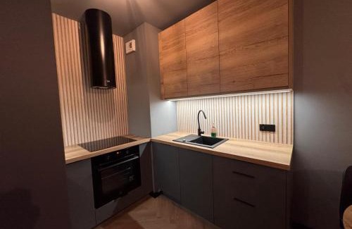 Wilda Apartamento | Apartament Bergera Olive Hill-2 pokoje