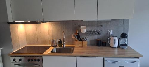 Plock Apartamento | Apartament Blue