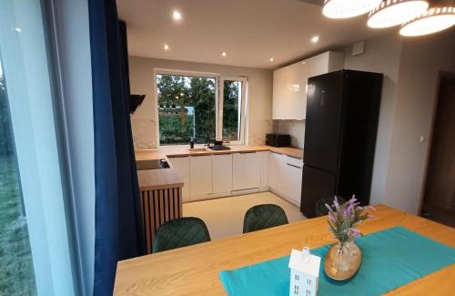 Faszcze Apartamento | Apartament Blueberry ,Pokoje