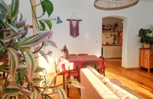 Jedlina-Zdroj Apartamento | Apartament Borówka