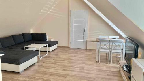 Makow Podhalanski Apartamento | Apartament Borowik