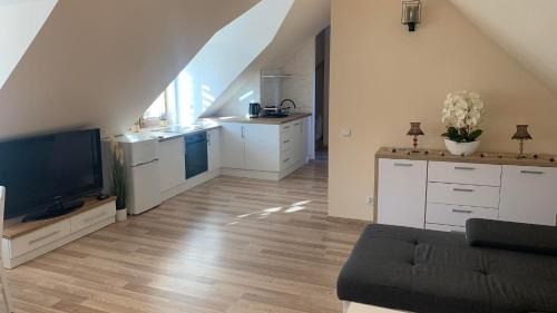 Makow Podhalanski Apartamento | Apartament Borowik