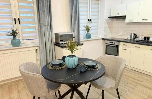 Zywiec Apartamento | Apartament Bracka 23