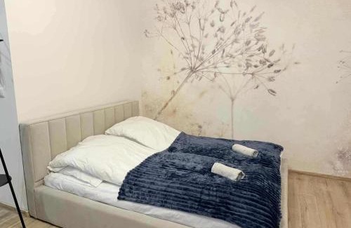 Zywiec Apartamento | Apartament Bracka 23