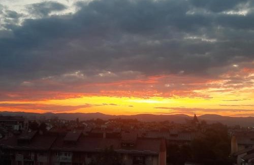 Nowy Sacz Apartamento | Apartament Browarna