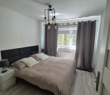 Grunwald Apartamento | Apartament Brzechwy