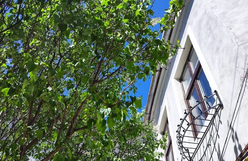 Historic Center Apartamento | Apartament Buon Gusto Sibiu-near Small Square Old Town