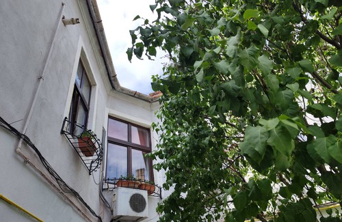 Historic Center Apartamento | Apartament Buon Gusto Sibiu-near Small Square Old Town