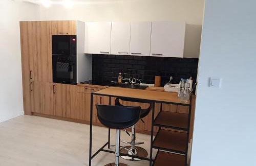 Leszno Apartamento | Apartament Business & Parking Sienkiewicza