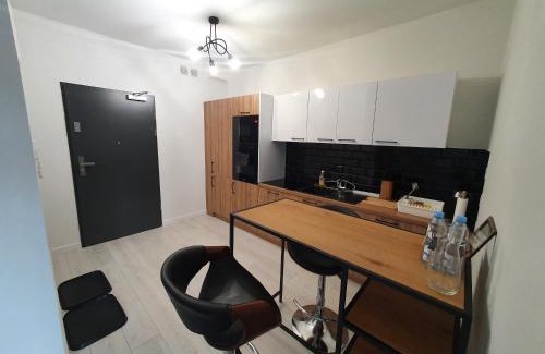 Leszno Apartamento | Apartament Business & Parking Sienkiewicza