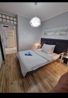Olsztyn Apartamento | Apartament Calamo Park