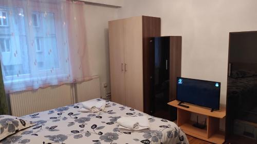 Lupeni Apartamento | Apartament Central