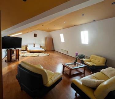 Timisoara Apartamento | Apartament central Timisoara
