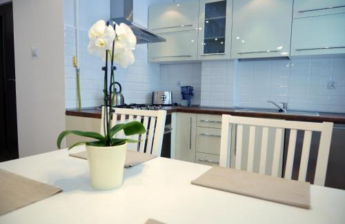 Chelm Apartamento | Apartament Chełm