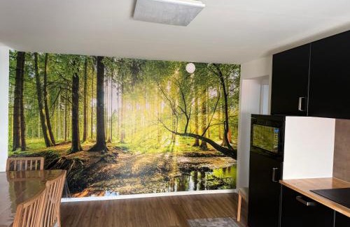 Villerupt Apartamento | Apartament cozy