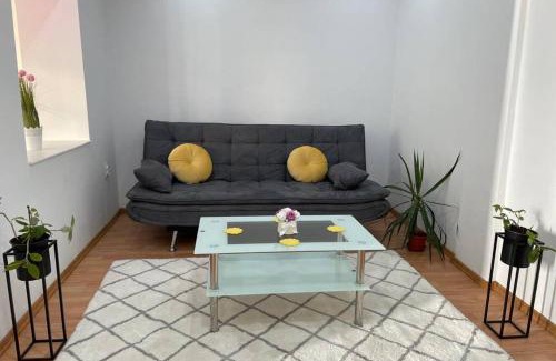 Baile Felix Apartamento | Apartament Cristina - Băile 1 Mai, Felix, Bihor, reducere Aquapark President