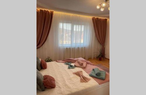 Baile Felix Apartamento | Apartament Cristina - Băile 1 Mai, Felix, Bihor, reducere Aquapark President