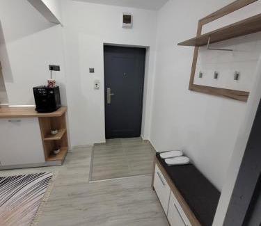Zalau Apartamento | Apartament cu 1 camera -ANA