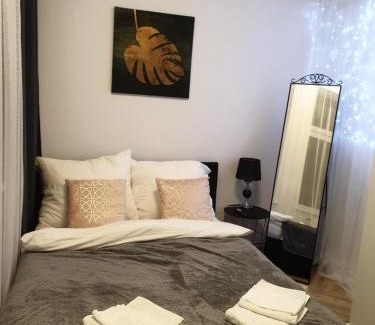 Szczawno-Zdroj Apartamento | Apartament CzarnoRóżowy