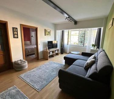 Gura Humorului Apartamento | Apartament de lux, zona centrala