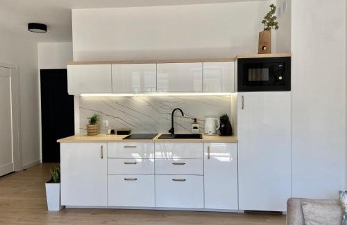 Elblag Apartamento | Apartament Deluxe Elbląg Old Town BULVAR