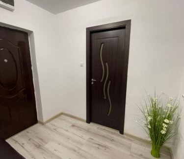 Orsova Apartamento | Apartament Denisa