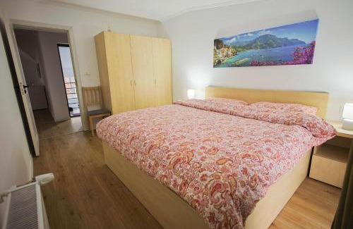 Sannicolau Mare Apartamento | Apartament Domina - RO,EN,FR-Certificat clasificare 3 stele, Ministerul Turismului