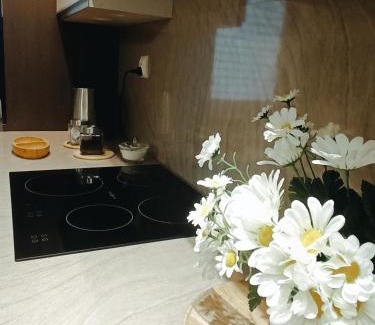 Elk Apartamento | Apartament Ełk Tuwima 5