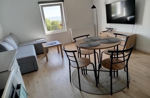Srebrna Gora Apartamento | Apartament Eden