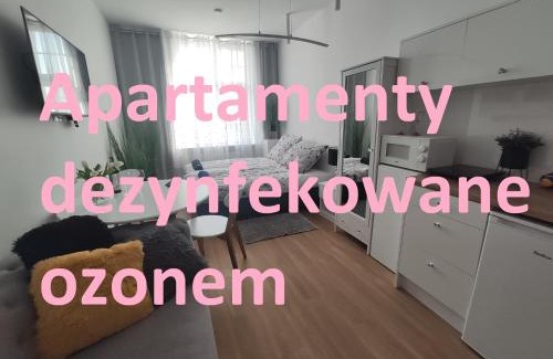 Elblag Apartamento | Apartament Elbląg GoodEnergy - Stare Miasto, Oldtown, Altstadt