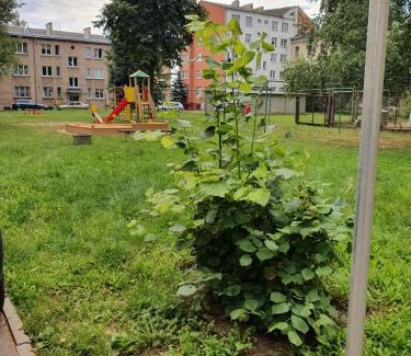 Kalkuni Apartamento | Apartament Erfolg 6