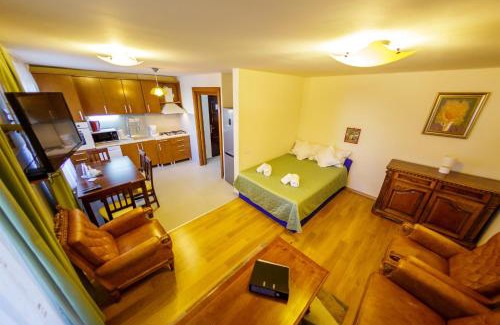 Baia Mare Apartamento | Apartament Family Rivulus 8