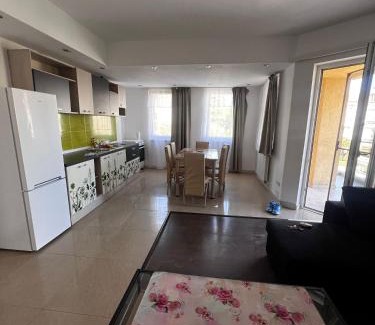 Oradea Apartamento | Apartament Flammarion
