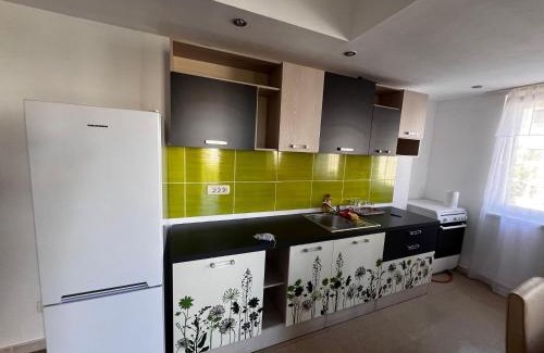 Oradea Apartamento | Apartament Flammarion