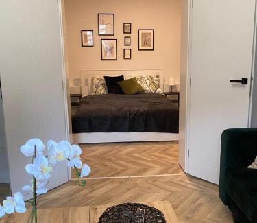 Gryfow Slaski Apartamento | Apartament Frezja