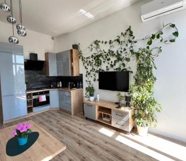 Grudziadz Apartamento | Apartament Green Loft Centrum