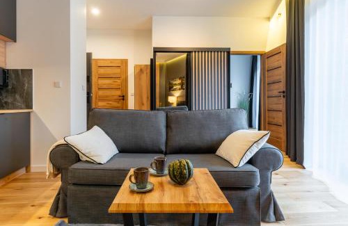Olsztyn Apartamento | Apartament Grzegorzewska